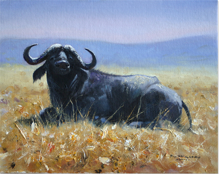 'Lone Buffalo